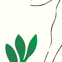 8.png