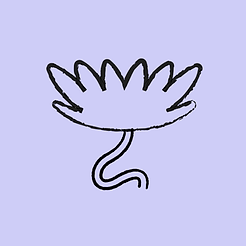 4.png