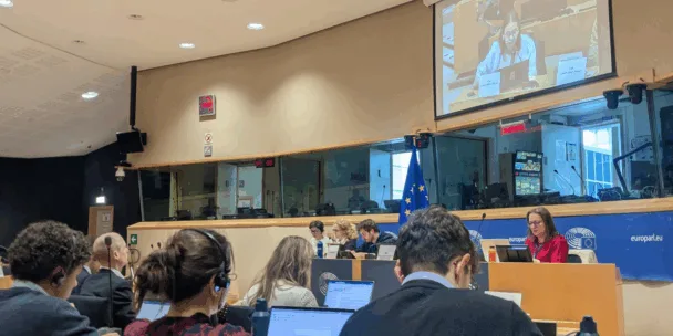 Záběr z interiéru ukazuje konferenční místnost Evropského parlamentu, kde v popředí sedí několik lidí u stolů, kteří používají notebooky a mají na sobě sluchátka s mikrofonem pro tlumočení. V pozadí sedí skupina lidí za dlouhým stolem s logem Evropského parlamentu a značkou „europarl.eu“ vedle vlajky EU. Nad panelem velké promítací plátno promítá živý videozáznam ženy hovořící na dálku. Místnost je moderně osvětlena zapuštěnými stropními světly a podél zadní stěny se nacházejí prosklené kabiny, pravděpodobně pro tlumočníky.