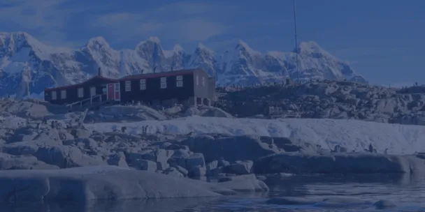 Eine abgelegene Forschungsstation mit einem langen, dunklen Gebäude und einer roten Tür liegt an einem felsigen, schneebedeckten Ufer. Im Hintergrund erheben sich schroffe, majestätische, schneebedeckte Berggipfel unter einem sanften Himmel. Zahlreiche Pinguine sind im felsigen Vordergrund nahe dem Wasser verstreut, allesamt durch einen kühlen, bläulichen Schleier betrachtet.